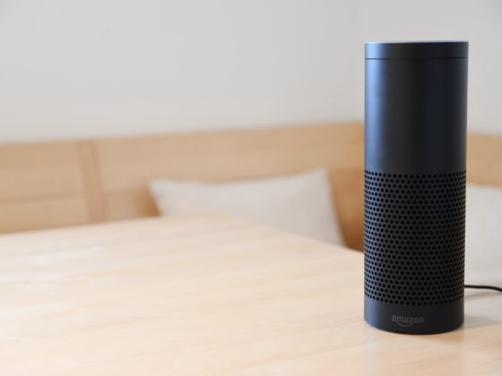 smart speaker markt
