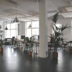 beste subsidie advies bureaus
