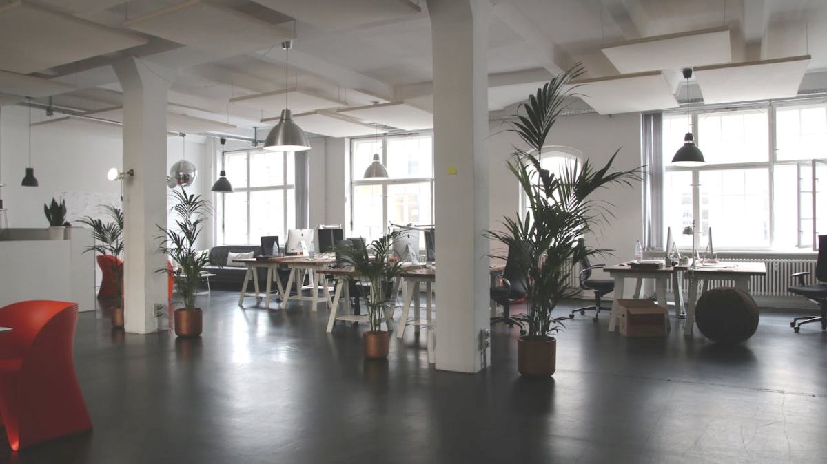 beste subsidie advies bureaus
